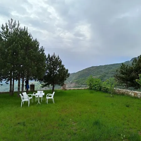 فيلة Mountain